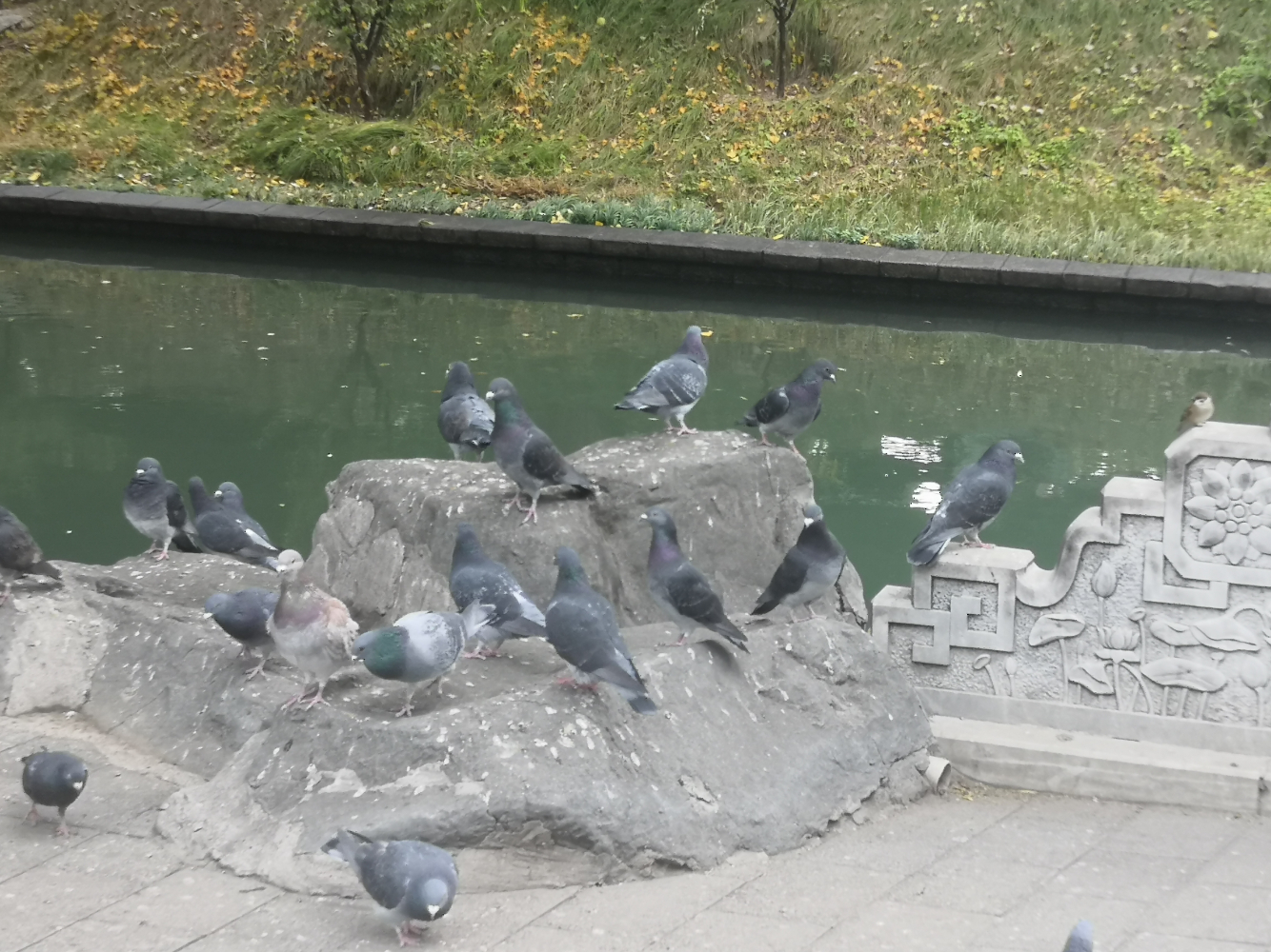 IMG_20231104_094326.jpg