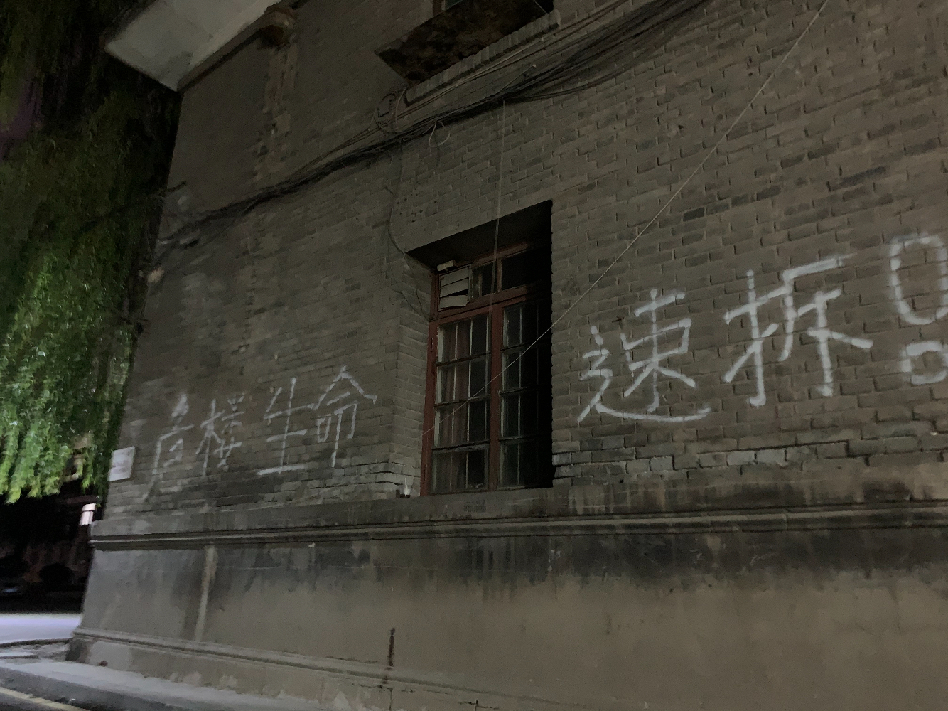 C1757CCE-EDF5-4645-8FB0-A30223B4B9D1.jpeg