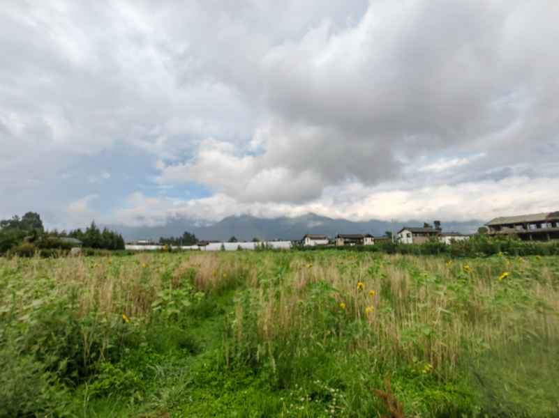 IMG_20230722_184848.jpg