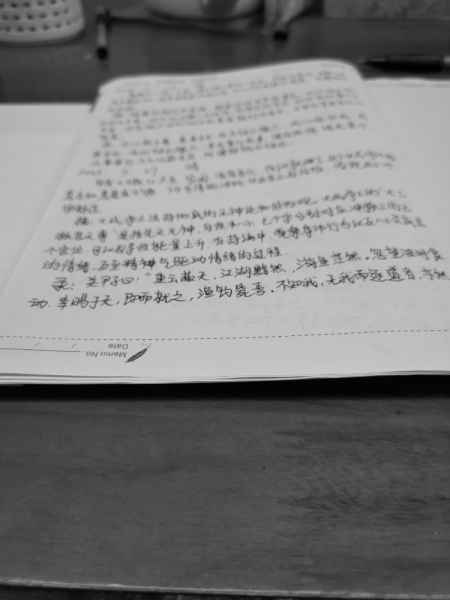 IMG_20250327_221532.jpg