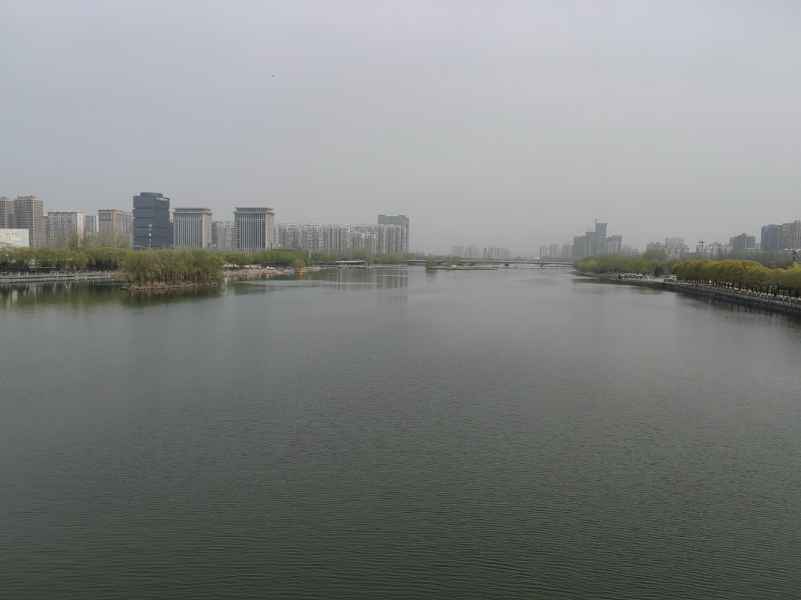 IMG_20250404_100252.jpg