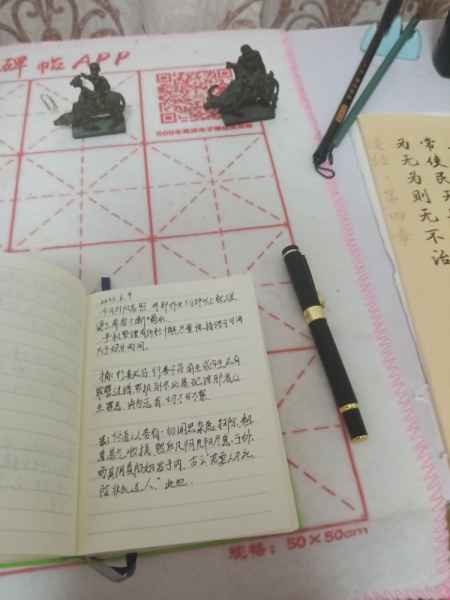 1749468562033.jpg