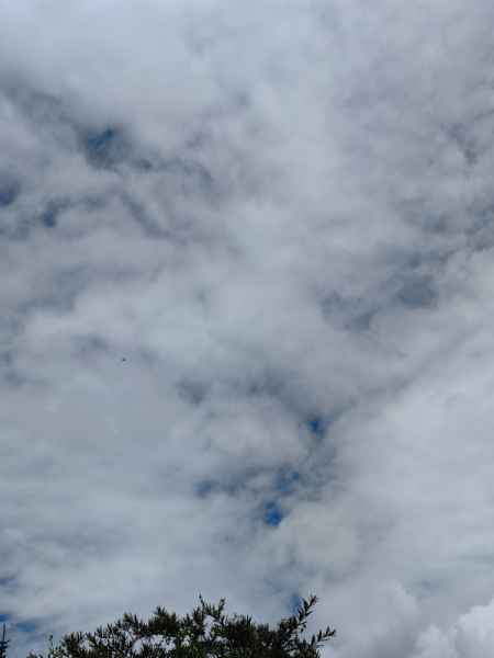 IMG_20250727_113306.jpg